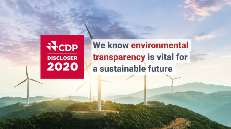 Mersen CDP questionnaires 2020