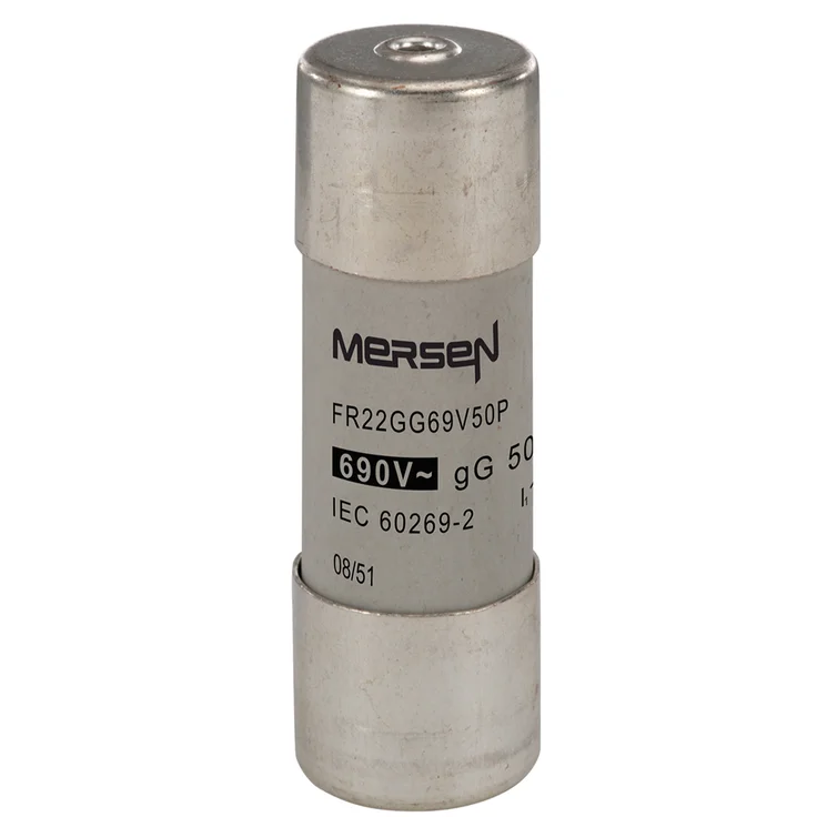 M213612 - FR22GG69V50P Fuses | Mersen